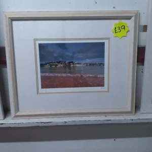 Salcombe framed art